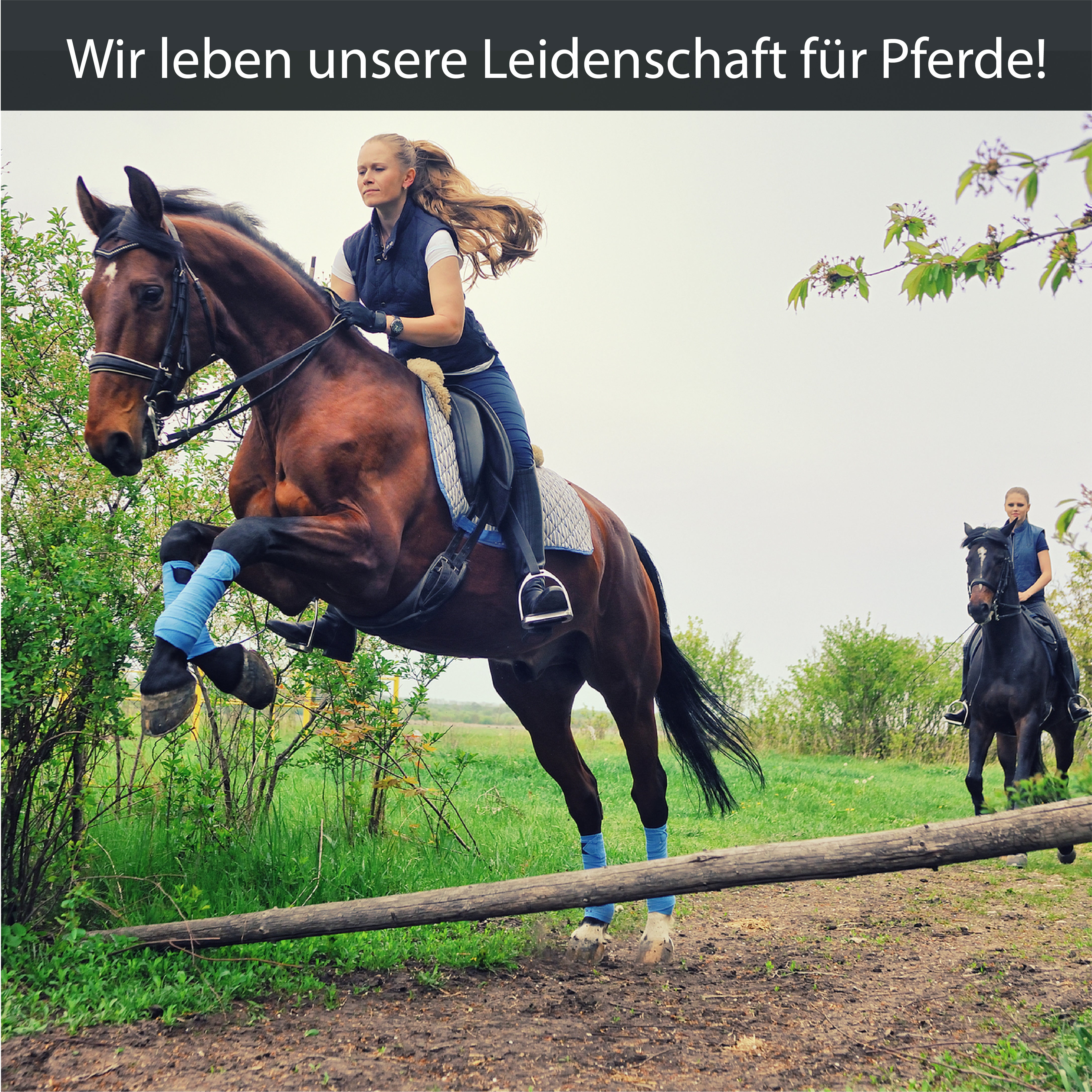 Sattelgurt aus weichem Neopren in Schwarz
